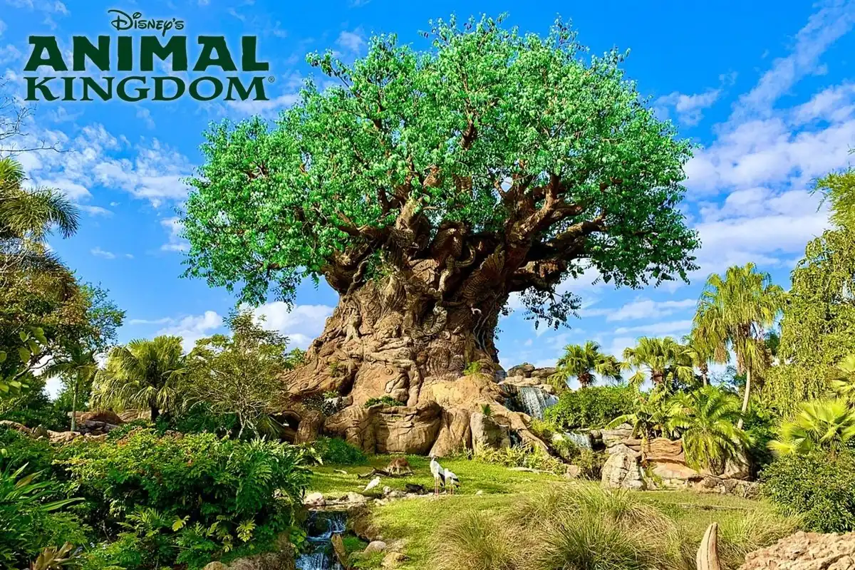 Animal Kingdom