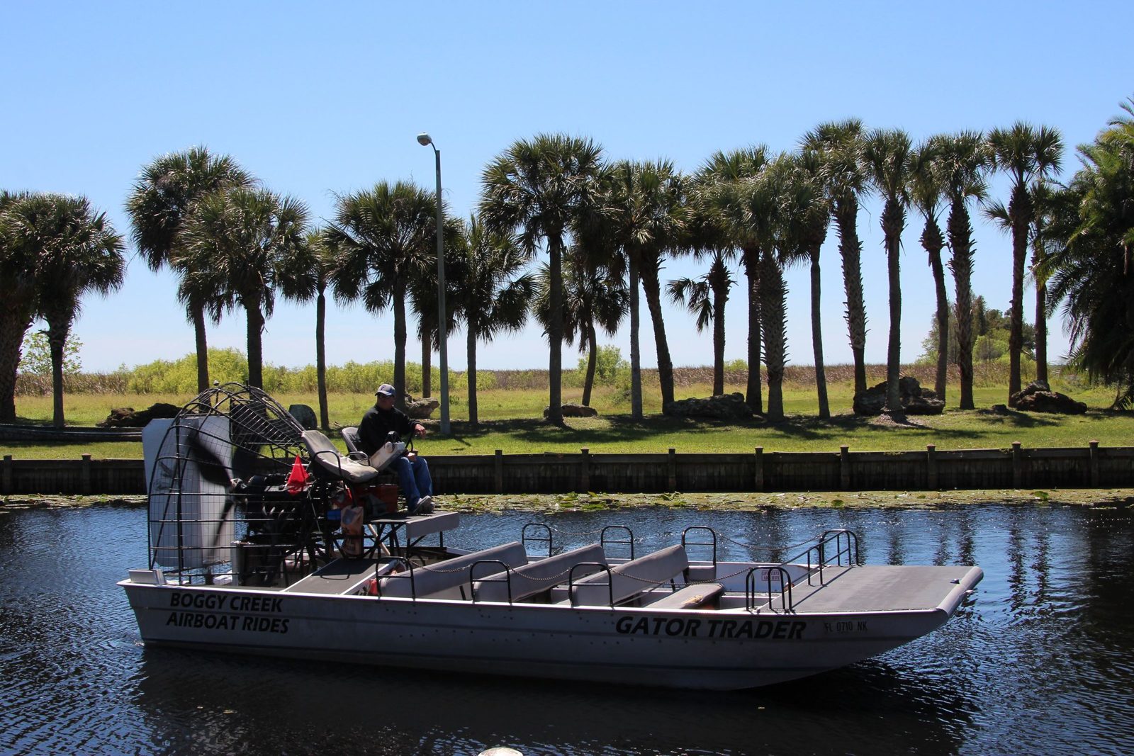 Airboat docked on water lined with palms in Kissimmee