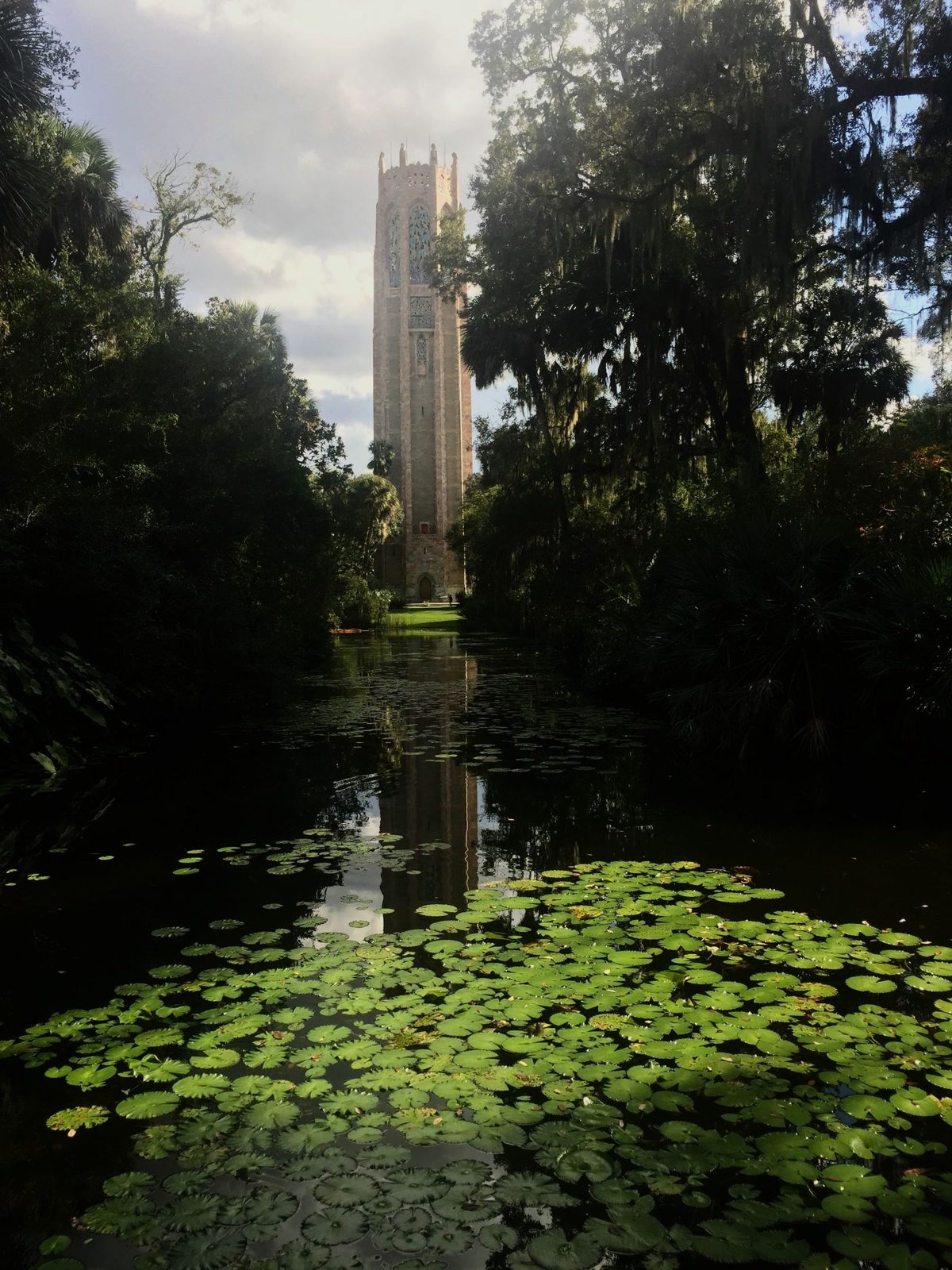 Bok Tower rising above a lily pond and trees