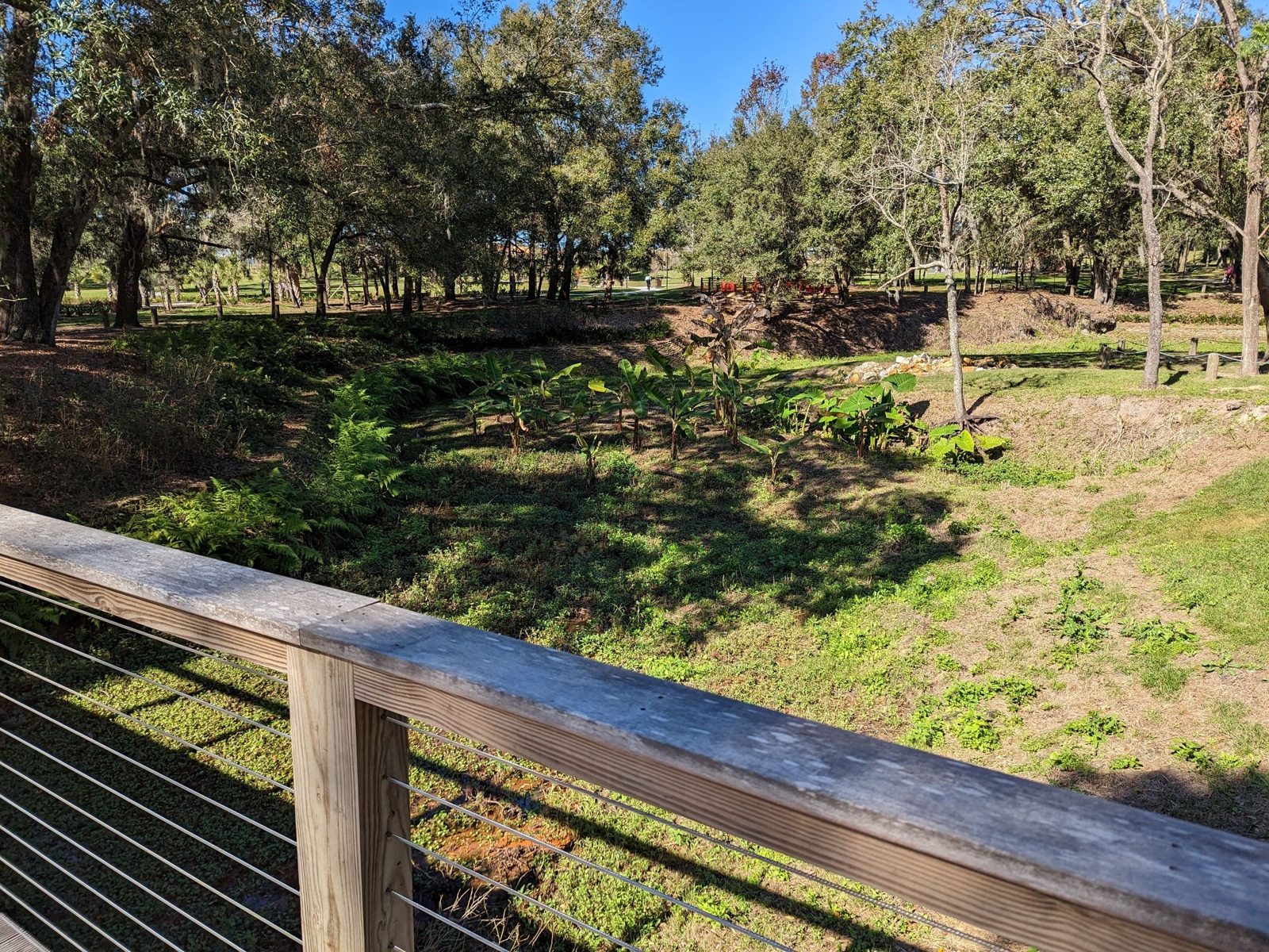 Boardwalk railing overlooking green slopes at Bonnet Springs Park